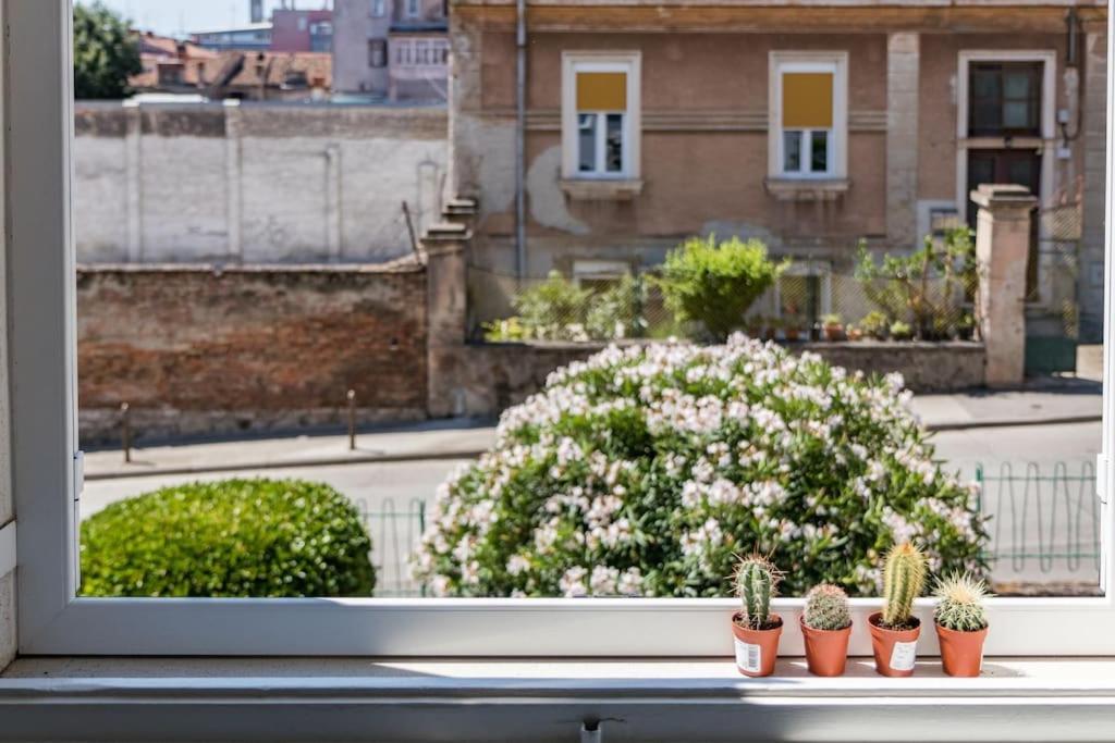 Quirky Apartment Arena With Parking PUY Exterior foto